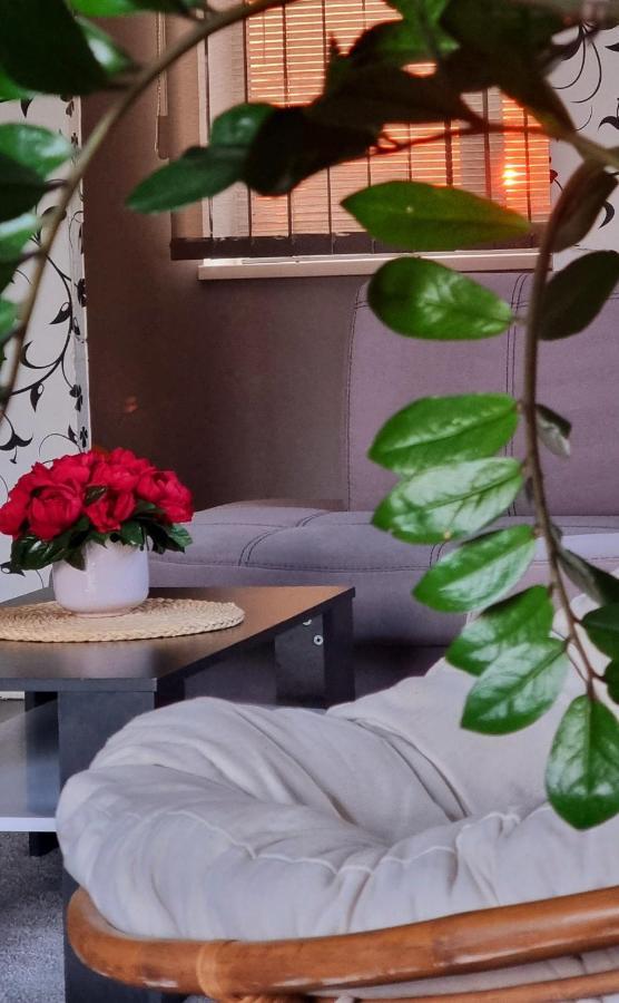 Sveciu Namai Kamile Villa Siauliai  Bagian luar foto